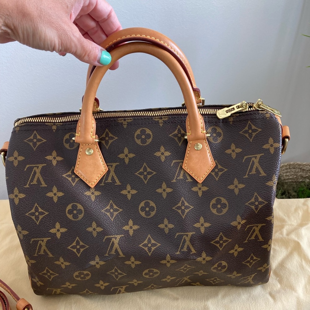 Louis Vuitton Speedy Handbag